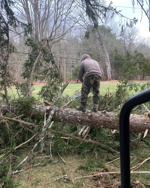 Crew member cutting a fallen tree